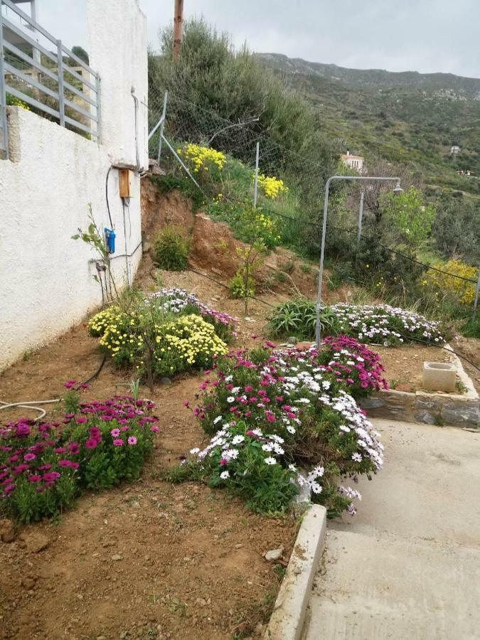 Villa Agnanti Akhladherí Esterno foto